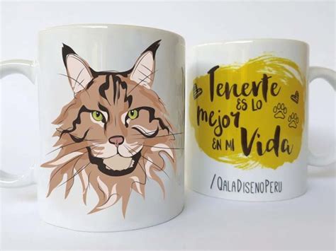 Gato Melena archivos Qala Diseño