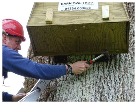 Barn Owl Box For Trees Outdoor Nestbox Direct From The Barn Owl Trust