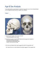 Age And Sex Analysis Lab Docx Pdf Age Sex Analysis In The Following