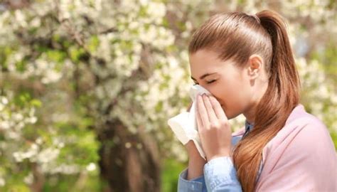 Tips And Tricks For Managing Your Allergies