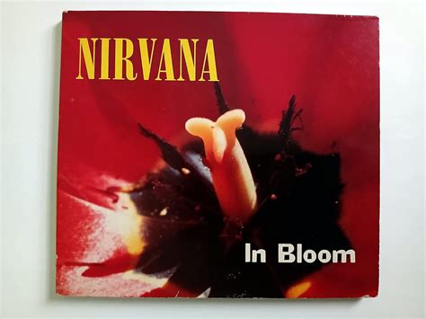 In Bloom: Nirvana: Amazon.in: Music}