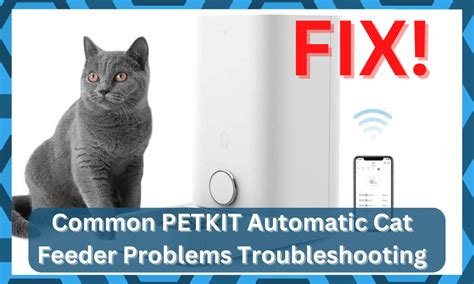 8 Common PETKIT Automatic Cat Feeder Problems Troubleshooting - DIY ...