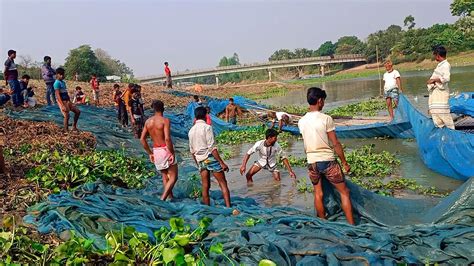 বর জল মছ শকরর সর ভডও Old Traditional Net Fishing In River