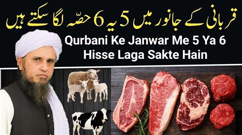 Qurbani Ke Janwar Me Ya Hisse Laga Sakte Hain Mufti Tariq Masood