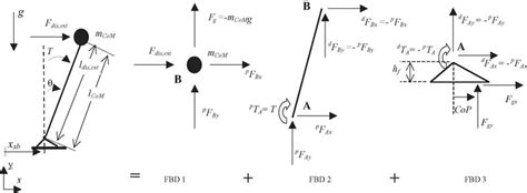 Free Body Diagrams Fbd Of The Balance Control Model The Forces And