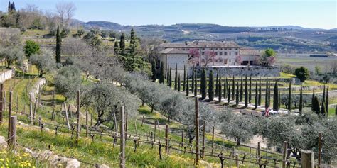 San Michele Valpolicella Classico Superiore Ugolini Vini