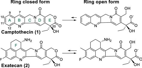 Dna Damaging Agents And Transcription Inhibitors For Adcs Proteogenix