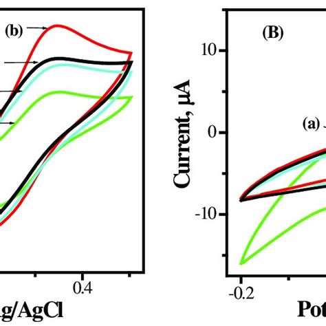 Cyclic Voltammogram Of A Solution Fecn 6 3− 10 −3 M After 7 Scans Download Scientific