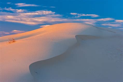 Photo Monahans Sandhills State Park