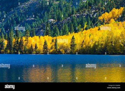 Fall Color At Silver Lake Along The June Lake Loop Inyo National