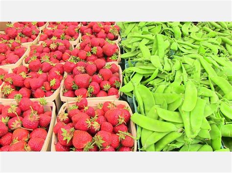 Peekskill Farmers Market Seeks New Manager | Peekskill, NY Patch