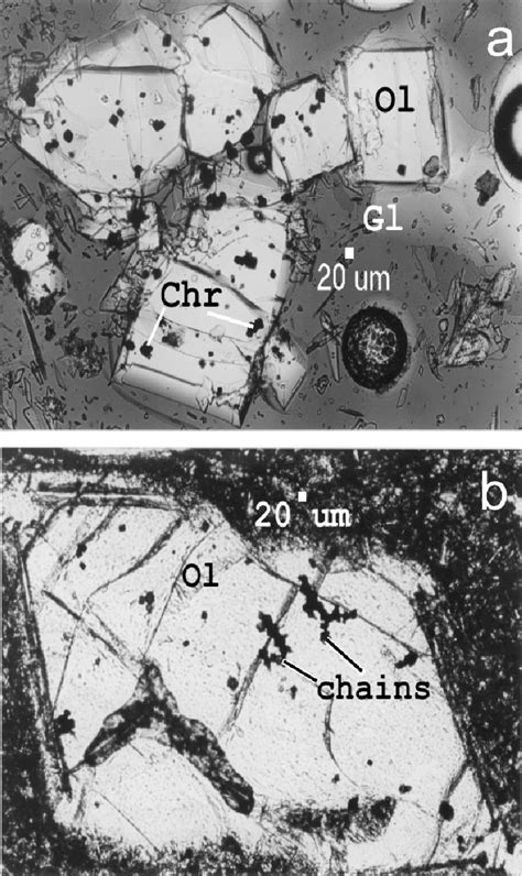 Figure 1 From GROWTH FORMS AND COMPOSITION OF CHROMIAN SPINEL IN MORB