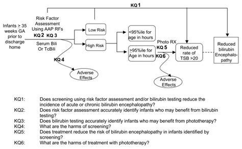 Methods Screening For Bilirubin Encephalopathy Ncbi Bookshelf