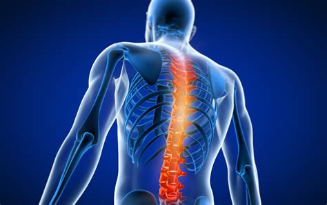 How Does A Chiropractor Assist With Back Pain Recovery