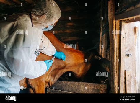 Biosecurity Suit Hi Res Stock Photography And Images Alamy