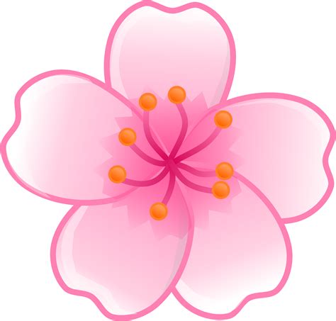 Japan Clipart Japanese Flower Cherry Blossom Flower Clipart Png