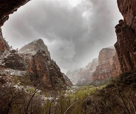 Zion in Winter- What You Need to Know for an Epic Visit