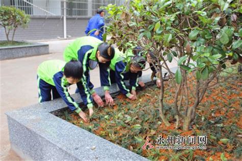 道縣進修附小：愛綠護綠 從我做起 每日頭條