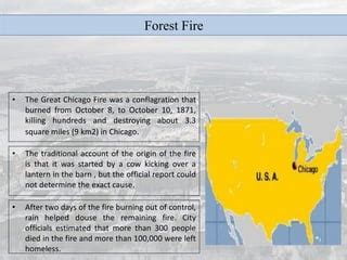 Disaster Management Forest Fire Ppt