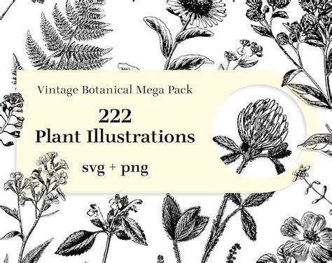 Flowers Clipart Hand Drawn Floral Cliparts Realistic Floral Logo Art