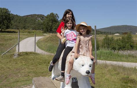 A Trip To Highland Wildlife Park Whilst Staying In Aviemore