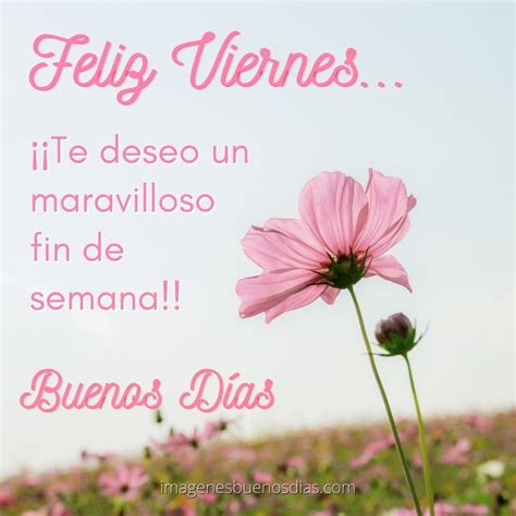 Feliz Viernes Fin De Semana Imágenes Buenos Días