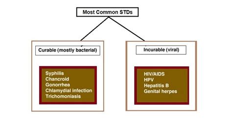 Sexually Transmitted Diseases Archives Helal Medical