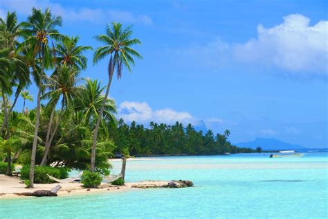 independent travelers guide  tahiti island  days