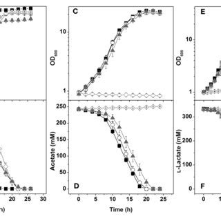 Growth And Carbon Source Consumption Of The C Glutamicum Wild Type