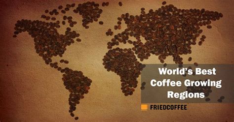 Best Coffee Growing Regions In The World - FriedCoffee