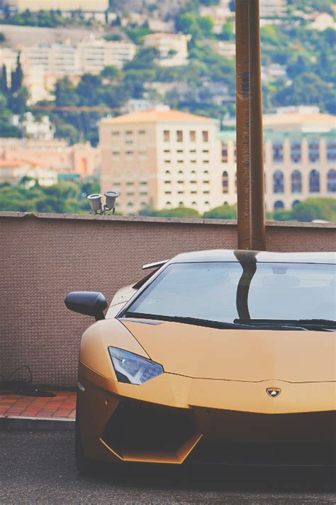 Sex On Wheels Cameron Duarte