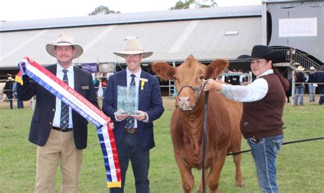 Solid Red Simmental Heifer Takes Supreme Honours At Toowoomba Royal