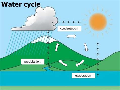 Water Cycle