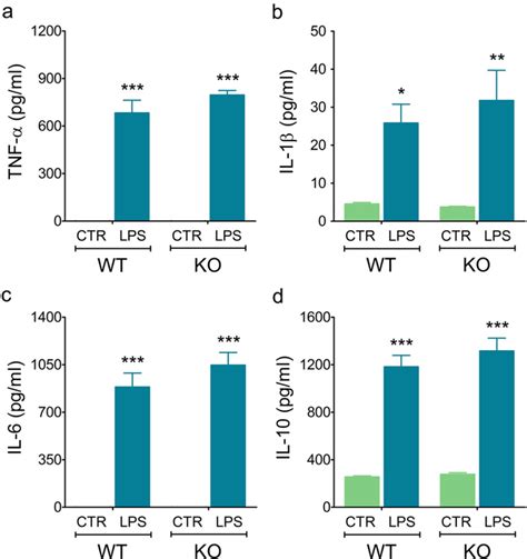 Figure 4 From Activation And Function Of Murine Primary Microglia In