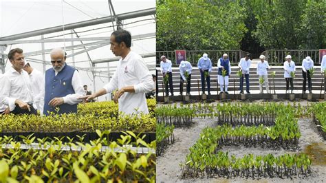 During G20 Summit In Bali Pm Modi Visits Iconic Mangrove Forest Taman