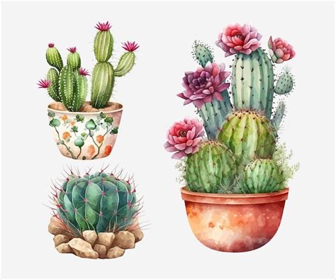 Pintura Em Aquarela De Um Conjunto De Cactos Flores E Plantas Em