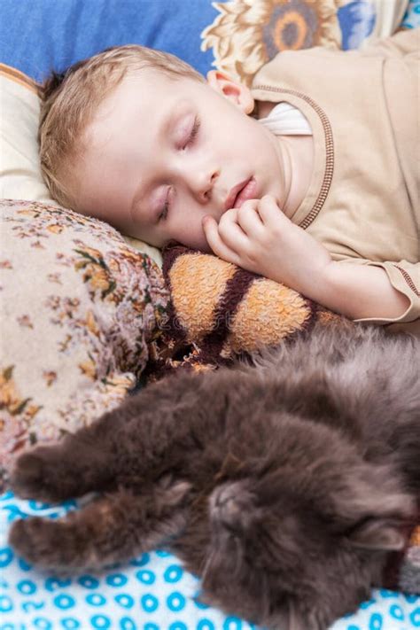 Boy sleeps with cat stock image. Image of close, mammal - 37096867