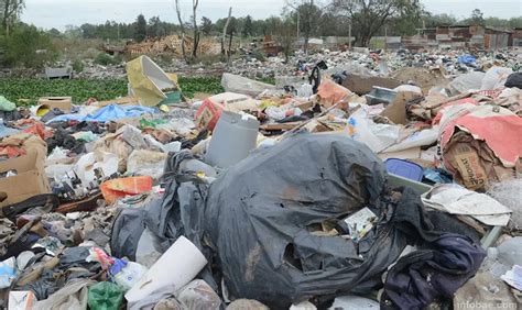 Contaminaci N Por Bolsas De Pl Stico En Argentina Causas