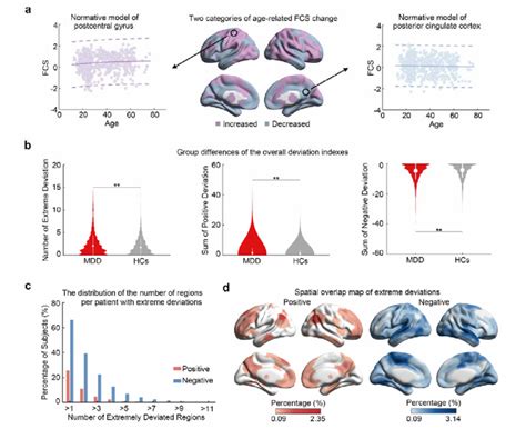 Normative Models Established In HCs And Individual Deviations From