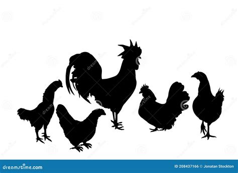 Ilustración Elegante De La Silueta Vectorial De Gallo Y Pollos Aislados