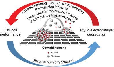 Humidity Induced Degradation Mapping Of Pt3Co ORR Catalyst For PEFC By