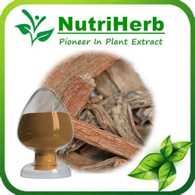 Salvia miltiorrhiza Extract-NutriHerb