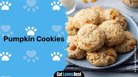 Homemade Pumpkin Cat Treats: A Delicious and Nutritious Recipe