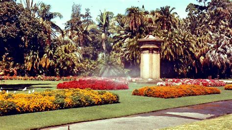 Sydney NSW: Royal Botanical Gardens (1983)