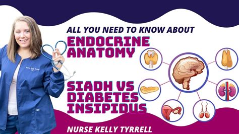 Endocrine Anatomy Siadh Vs Diabetes Insipidus Youtube