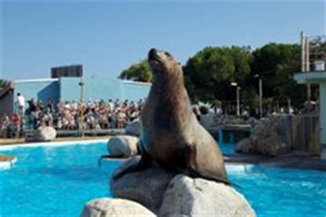 Marineland Antibes D Tails Et Avis Des Parents R Cr Anice