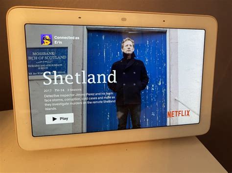 How To Watch Netflix On Google Nest Hub And Hub Max TechGadgetsCanada