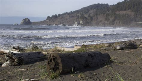 Redwood SightSeeing Tours