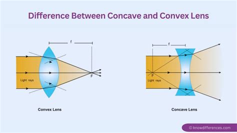 Difference Between Concave And Convex Lens