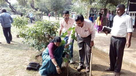 Pin On Mission Crore Tree Plantation